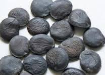  Griffonia Simplicifolia - autres produit colecte , bien seche , conditionne dans des sacs de 25kg.notre equipe a une experience de plus de 5 ans d experience dans la collecte.--nos relations a l internationale reconnue par des firmes anglaises et belges.