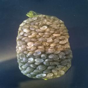  Petit Gris Super Promo 3.50 Kg (ex Work) - coquillage crustacé madame,  monsieur----nous vous offrons l'escargot petit gris à prix exceptionnel 3.50 €/ kg (prix- ex work) .seulement en février-mars de 2016!-- les escargots viennent d'une ferme certifiée,  localisée dans une région écologique de pologne (culture bio en ple
