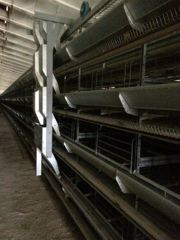  Cages En Batterie Pour Les Poules Pondeuses - matériels machines batteries pour 104.000 poules pondeuses + batteries pour les poulets breeding 40.000--installations en parfait état,  la marque  big dutchman» et «tecno impianti avicoli  utilisés que pour trois ans,  comme nouveau.--inclure automatisation tels que pour l'alimentation des poulets,  ramass
