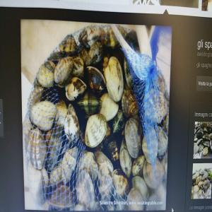  Proposition D'affaires Exp Algerie- Italie - coquillage crustacé bonjour, --je suis une intermédiaire et je voudrais contacter directement le propriétaire pour évaluer la possibilité d'une affaire et  négocier,  il s'agit de l'exportation de l'algerie a l'italie de palourdes vivants de bonne qualité à un pris concurr
