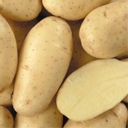  Produits Agricole Proposer - fruits et légumes bonjour,  nous sommes une societe de commercialistation de produits agricole notre produits phare sont les pomme de terre,  le citron l'oignon et l'ail nous possedons un centre complet de traitement,  tri calibrage et lavage,  conditionnement au choix de 4kg a 25 kg,  prix attractif,  interesser par la co