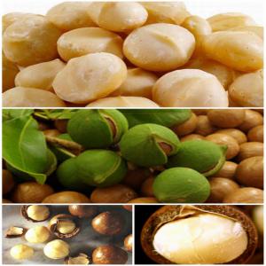  Macadamia Nut - roasted seeds and nuts product specification----nutrition facts----amount per 100 grams----calories-718--% daily value*--total fat 76g-116%--saturated fat 12g-60%--polyunsaturated fat-1.5 g --monounsaturated fat-59 g --cholesterol 0mg-0%--sodium 5mg-0%--potassium 368mg-10%--total carbohydrate 14g-4%--dietary fiber 9g-36%-