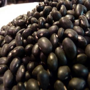  Black Kidney Beans - cereals specifications----name- black kidney bean --moisture-16%max --impurity-0.2%max --imperfect-3%max --package-50kg pp bag---- --hps quality---name- black kidney bean--moisture-16%max--impurity-0.2%max--imperfect-3%max--size;500-550--package-50kg pp bag-- --mc quality---name- black kidney bean--moisture