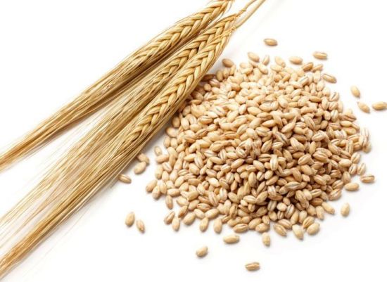  Barley Malt Grain - cereals specification---moisture - max 12%--protein- min 9%--fibre- max 6%--ash- max 3.5%--test weight - min 610--foreign matters - max 2%--grain admixture - max 2%--bug damaged - max 1%