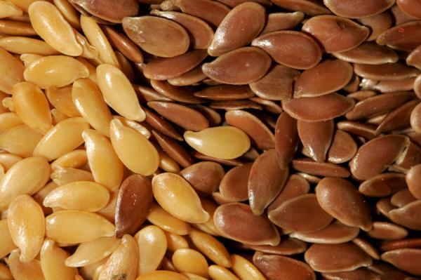  100% Natural Flax Seeds - seed plant seed specifications--moisture - 13% max.--purity - 99% min.--protein 18 g-36%--total fat 42g-64%----why our flax seeds?--organically grown--natural flavor--free from dust,  grimes,  and dead or live weevils--