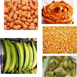  Noix De Cajou Et Autres Produits - fruits secs et graines grillées nous fournissons des produits agricoles,  tels que grain d'arachide,  pâte d'arachide,  grain de maïs,  banane douce,  banane plantain à tout client qui serait très intéressé.--contactez-nous afin que travaillons dans l’intéret de nos deux entreprises sur de long 