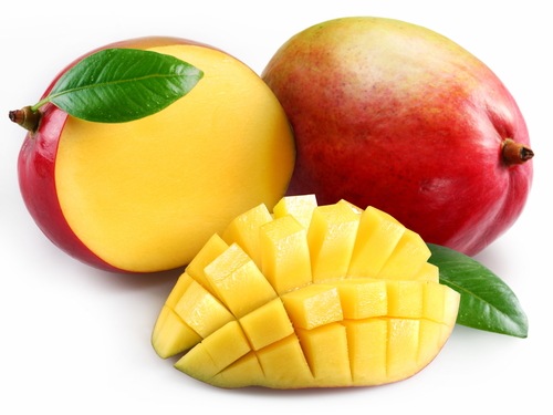  Vente De Mangues Senegalaises - fruits et légumes vente de mangues sénégalaise. je suis producteur au niveau du département de sébikotane,  zone traditionnelle de la mangue sénégalaise. je recherche des clients,  partenaires,  importateurs qui seraient interressés par cette filière si prometteuse