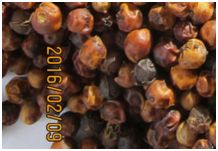  Poivre Rouge Chu Se Gia Lai/pleiku/viet Nam - épices aromates produit- poivre rouge chu se gia lai/pleiku--origine; viet nam--direct d'usine--moq- 10kg--livraison- par tnt,  dhl,  post office. sur simple demande,  un numéro suivi du colis peut-etre fourni.--paiement- 100% tt ou virement bancaire--à partir d'une tonne,  n'hésitez pas à n