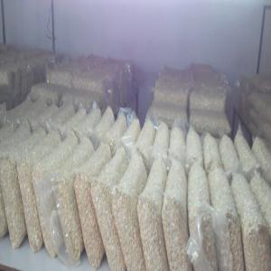  Noix De Cajou W240, 320,... En Haute Qualité - fruits secs et graines grillées le benin leader exporter et distributeur de produits agricoles.nous fournissons noix de cajou ( origin- benin)avec la specification as suivante- --1.type- noix de cajou- w240, 320, 450, ws, lp&sp,  sal&eacute;...--2.qualit&eacute;- afi standard.--3.prix- contactez nous pour recevoir des meilleurs offres.