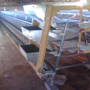  Batteries Poules Pondeuses - matériels machines fabrication de batteries poules pondeuses am&eacute;lior&eacute;es pour faciliter la t&acirc;che minimise la main d'oeuvre et  gagne du temps pour plus de fotos consultez notre page fb (entreprise de fabrication du materiel pur elevage)