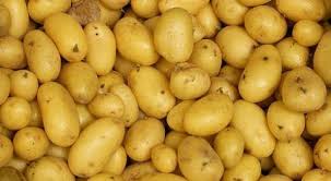  Vente - fruits et légumes nous cherchons des clients qui pourront importer la pomme de terre du congo brazzaville,  nous avons un stock &eacute;norme 