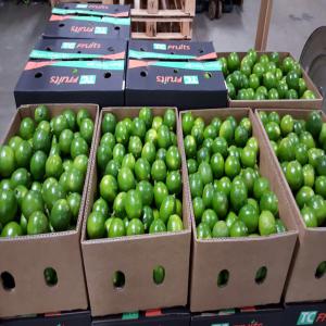  Fruits Frais Du Brésil - fruits et légumes vente de fruits frais du brésil tels que mangues,  papayes,  citrons,  figues... les produits voyagent par avion dans la plupart des cas afin de garantir leur plus grande fraicheur. notre entreprise est basée au brésil et nous embarquons les fruits de nos partenaires agriculteurs. 