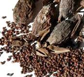  Graine De Paradis - semence graine plant notre d&eacute;partement agro-alimentaire dispose d'un stock tr&egrave;s important de graine de paradis..--un prix interessant.