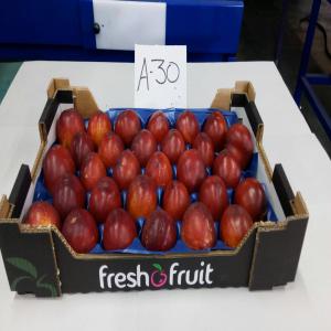  Ventes Nectarines - fruits et légumes nectarines d'espagne  par caisse de 4 kg ,  176 plateaux/palette--calibre 37, 35, 30, 28 les prix vont de 1, 75€ à 2, 25€ fob  perpignan-- 
