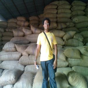  Raw Cashew Nuts In Stock - fruits secs et graines grillées we have raw cashew nuts for sale with 2016 crop -quality- kor 49-48-47 grading- 180-200 packaging- jute bag (80kg) - moisture content- 10% - quantity- 500 t - origin- cotonou (benin republic) - fob 1 t = us $ 800 on cotonou. thank you to contact me by email as soon if you are interested. cordially  