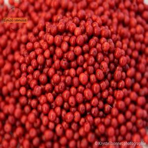  Poivre Noir,noix De Muscade,cannelle - épices aromates bonjour,  nous sommes sur bordeaux et proposons une trentaine d'&eacute;pices de tr&egrave;s bonne qualit&eacute; de madagascar dont le ---poivre noir grain - 20euro/kilo--cannelle en poudre-20euro/kilo--cannelle baton (8a 10 cm)- 20euro/kilo--noix de muscade- 45euro/kilo--clou de girofle- 46euro/kil