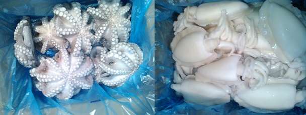  Offre De Poissons, Céphalopodes Et Crustaces - poissons nous sommes un cabinet de n&eacute;goce,  nous repr&eacute;sentons des soci&eacute;t&eacute;s de peche sp&eacute;cialis&eacute;es dans la production et l  exportation de poissons , crustac&eacute;s,  c&eacute;phalopodes et filets conditionn&eacute;s,  originaire de l'atlantique centre est fao 34.--pour 