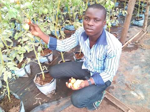  Culture Hors Sol Ou Hydroponie - semence graine plant pour tout vos besoins en formation et réalisation des plantes en culture hors sol contactez moi  depuis le benin je vous reponds