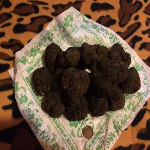  Je Cherche Achteur De Touts Sort De Truffe - champignon levure bonjour je mets ces belles truffes blanches d'été comment on appelle la truffe de saint-jean avec un très fort arôm qualité exceptionnelle........--toutes nos truffes sont triées une à une. nous eccartons les truffes ne faisant pas partie de l'esp&egra