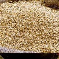  Sesame Seeds - roasted seeds and nuts we are producers and suppliers of premium quality sesame seeds.we offer the sesame seeds at very competitive prices.please contact us for more details and procedures of delivery.