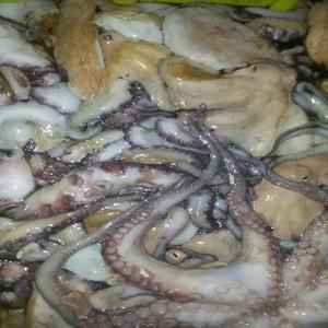  Poissons Frais Et Congelé - poissons nous sommes  une société  basé en mauritanie 'nous avons  tous sort de poissons frais et congelé nous sommes avotre disposition 