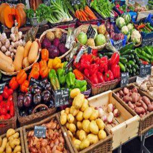  Bureau D'export - fruits et légumes nous sommes une societe d'aide à lexport dans le domaine agricole,  nous proposons nos services pour le placement de produits algeriens sur le marché international,  tous typs de fruits et legumes,  chapeauter toute l operation d'export de la recherche du client jusqu a l'expedtion de la 