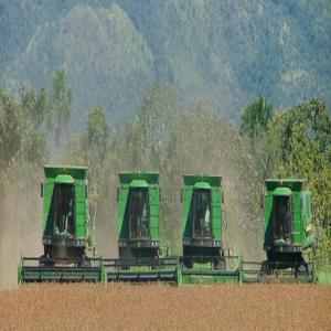  Yellow Corn Gmo Human And Animal Consumation - céréales   yellow corn gmo human and animal consumation--   1. commodity- yellow corn #2,  gmo and yellow corn#3,  gmo. 2. origin -brazil 3. specification- yellow corn graded # 2 - shall conform with the following specifications and/or international standard specifications,  fit for human consumption test weght