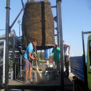  Huile Essentielle De Lavande Gros Bulgarie - huiles nous sommes producteurs de lavande de la région de dobroudja les deux côtés de la frontière,  la roumanie et la bulgarie. notre type d'huile essentielle de lavande est extrait très précis dans les distilleries de haute qualité de la pureté des cu