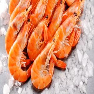  Poissons Et Fruits De Mer De Première Qualité - poissons savourez des poissons emblématiques de la région,  réputés pour leur goût unique et leur fraîcheur - dorade royale  parfaite pour des plats méditerranéens. capitaine (nile perch)  chair tendre et délicate,  parfait pour les grillades ou les 