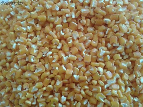  Vente Blanc Et Jaune - fruits et légumes nous sommes un groupe nous disposons d'une quantite importante de mais blanc et jaune un tres bon prix. merci de nous contacter- tres bon prix--- tout le monde entier--- importante 