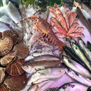  Traitement Et Vente De Poissons En Gros - poissons cote ouest poissonnerie basee a dakar sur la plage de yoff est une societe d'exportation de poissons frais pêches d'un jour et conditionnes selon les normes de la cee certifiees iso pour seduire toujours notre clientèle.--nous livrons aussi des poissons congeles, des crustaces, mollusques et tous type