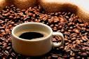  Fournisseur Agree De Cacao Cafe - café cacao thé bonjour,  ----nous recherchons des clients a l'export pour la vente de notre cacao et notre cafe robusta.--nous sommes certifies rainforest,  utz certified,  fairtrade etc…--nous sommes réactif et pouvons fournir jusqu'à 25000 tonnes annuel. --bien cordialement,  
