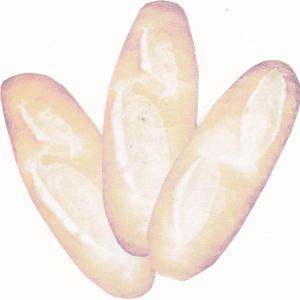  Boulangerie Francaise L'etranger - autres vous désirez créer une boulangerie française a l'étranger, notre principal atout,  est que nous maitrisons la qualité du pain grâce à notre expérience de 50 ans en formulation et équilibrage des farines.--un mauvais boulanger obtiendra un b