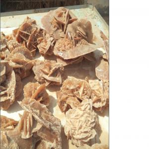  Stone/rock Rose De Sables Gypsum Flower - stone rock we are looking forward to developing a very important business on the rock gypsum flower(rose de sables) produced in tunisia; south of the country.--do not hesitate to contact us.