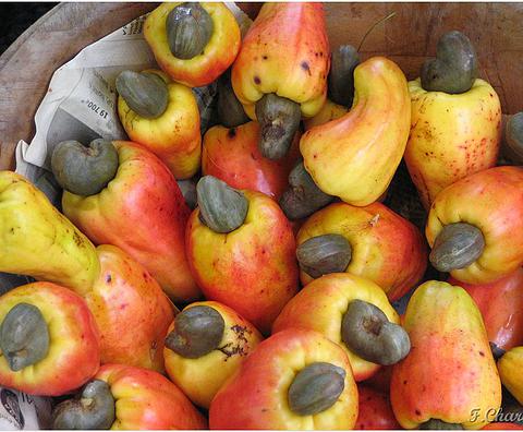  Vente D' Importants Des Produits Tropicaux - fruits secs et graines grillées nous disposons d'une quantité importants des produits tropicaux comme - le sésame, la noix de acajou, la noix de karité, le soja, la noix de coco, gimgembre, gomme arabic ,  etc...----nous recherchons des acheteurs directs pour la vente de nos produits. veuillez nous contactez pour plu