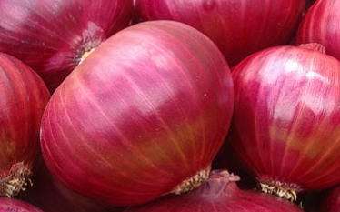  Oignon Rouge. Pomme De Terre - fruits and vegetables we export different types of high quality  vegetables and fruits such as- fresh potatoes,  tomatoes,  onions, dattes ...etc.-- and if you are interested in our services and products,  we are looking forward to make a good business with your company.--