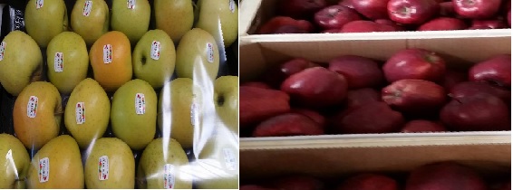  Pomme Italien De Bonne Qualité - fruits et légumes nous disposons des pommes gala  ,  rouge ,  vert d'origine italien de très bonne qualité,  et nous cherchons un acheteur sérieux pour une longue collaboration--prix exw 0.75 euro/kg   dans des sac de 15 kg calibre 70 et 75--paiement 30 % sur facture proforma le reste contre documen