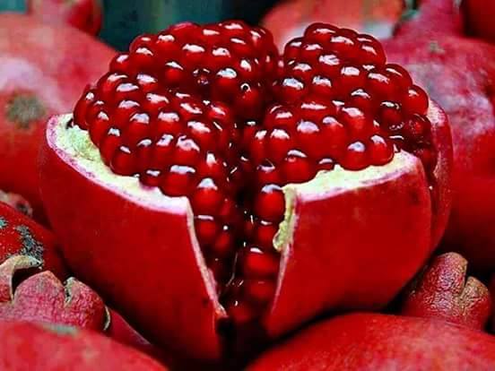  Grenades Type Wonderfull - fruits et légumes important holding en export tunisien cherche fournisseur s&eacute;rieux pouvant fournir de grandes quantit&eacute;s de grenades type wonderfull pour la saison,  veuillez nous contacter via ce site ou acheter des unit&eacute;s pour avoir nos contacts,  curieux s'abstenir 