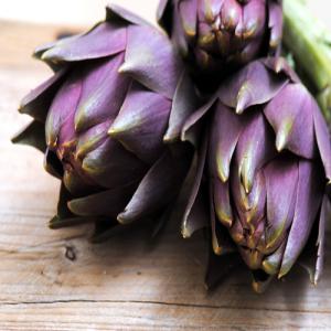  Cherche Fournisseur Artichaut Violette - fruits et légumes important holding tunisien en export cherche fournisseur s&eacute;rieux pour de grandes quantit&eacute;s d'artichaut type violette pour export,  veuillez nous contacter via ce site.