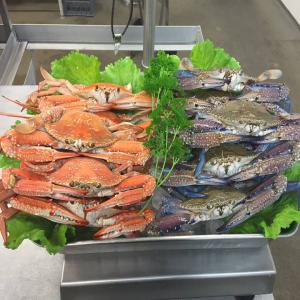  Blue Swimming Crab Opportunity At Djerban Tunisia - crustacean shell we are a new stater company on the developpement phase,  implemented in djerba,  tunisia,  and serving the local restaurants in blue crab fresh meat and other derivatives,  from the product of  blue swimming crab . --we seek buyer,  how are interested in importing blue swimmer crabs. --this product are w