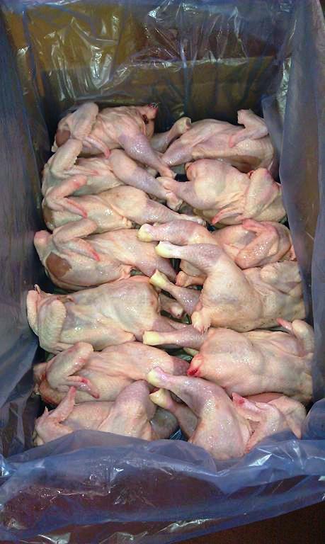  Poulet Entièr Halal - viandes et oeufs bonjour, ----je suis en mesure de vous fournir du poulet entièr halal grade a 1.28 /kg----j'ai des quantités disponibles----les prix sont bons donc les personnes pas sérieuse bonne route----cordialement