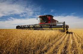  Partenariat Dans Le Secteur Agricole - fruits et légumes notre societe est une société mauritanienne qui cherche un partenaire dans le secteur agricole qui a l experience dans ce domaine.--pour réaliser un grand projet agricole et faire de grande benefice pour notre parteneriat pour plus d information contacter nous et merci .