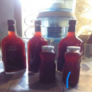  Fabricant Cocktail Cherche Partenaire - boisson alcoolisée a base de vin et d'écorces d'arbre  magiques  au gout et à la saveur africaine,  aux arômes des forets équatoriales,  notre cocktail ,  apéritif,  digestif,  a des qualités aphrodisiaques qui lui sont indéniables. une version  mousseux  complète la g