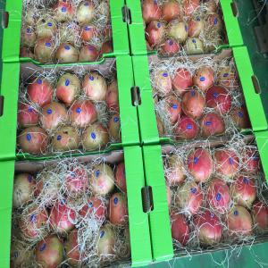  Pomme De Grenade Pomegranate - fruits et légumes paquet 6, 8, 10, 12 fruits par paquet--pomme de grenade &agrave; exportation .--nous  disposons de pomme de grande tunisien.le transport &agrave; voie a&eacute;rienne.--le prix donn&eacute; est prix fob a&eacute;roport tunisie .--pour les int&eacute;ress&eacute;s veuillez nous contacter par mail.non s&