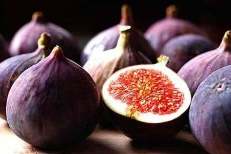  Figues Fraiches Aoc - fruits et légumes le figuier trouve des conditions de culture tr&egrave;s favorables &agrave; djebba,  d où la qualit&eacute; sup&eacute;rieure de ses figues. 