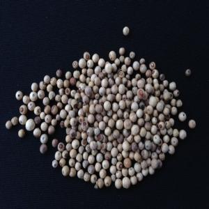  Poivre De Penja Igp Directe Du Cameroun - épices aromates recherche commer&ccedil;ants,  grossistes,  distributeurs en europe,  asie,  usa,  am&eacute;rique du sud (br&eacute;sil ,  mexique...) et moyen-orient pour vente de poivre du cameroun,  blanc et noir (poivre de penja - indication g&eacute;ographique prot&eacute;g&eacute;e) de la meilleure qualit&eacute;. 