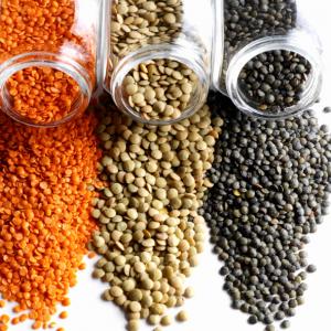  Lentilles, Légumineuse, Récolte Canadienne - féculents légumineuses d'origine canadienne,  lentilles,  pois chiches,  haricot,  petits pois verts.--possibilité de répondre a une demande qui dépasse les 100 tonnes--récolte canadienne 2020.--proposition c&f sur demande.--