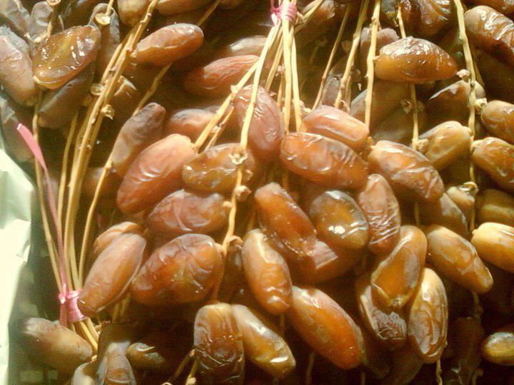  Dattes Tunisiennes - fruits et légumes producteur et grossiste des dattes tunisiennes  deglet ennour , on cherche a s'ouvrir sur l'international et conquérir des nouveaux marchés internationaux.