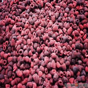  Framboise Surgelées Raspberry Iqf Raspberries - fruits et légumes framboise surgelées  framboise surgelées.--fruit entier 95% 4x2.5kg condit.--tariff conditions - 2.40€ kg--restrictions - illimité--packaging - --merchandise packed into---- unit packages from 200g to 2, 5kg--- bags 18kg; 20kg; 25kg, --- cartons 10kg; 15kg--- barrel 1*180 kg (prec
