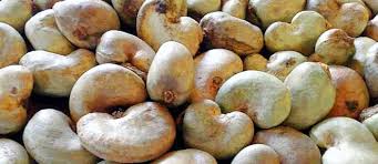  Noix Brutes De Cajou Et Noix Décortiquées - fruits secs et graines grillées négociant en produits tropicaux,  je vends pour le compte de deux groupements féminins de la noix de cajou brute (1500 tonnes) et 500 tonnes de cajou décortiquée. plaisantins et démarcheurs s'abstenir. merci de m'adresser directement un mail pour cotation. cordialem